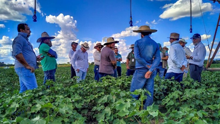 Israelenses visitam irrigação do Norte de Minas