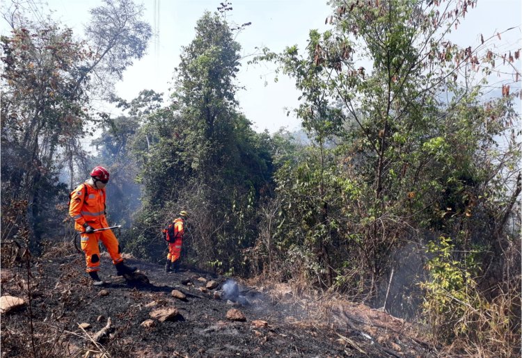 Clima seco favorece surgimento de queimadas