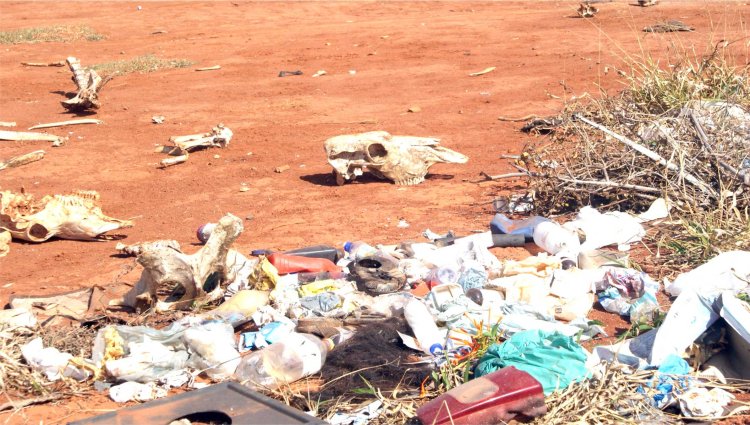 Polícia Ambiental faz alerta sobre descarte ilegal de lixo