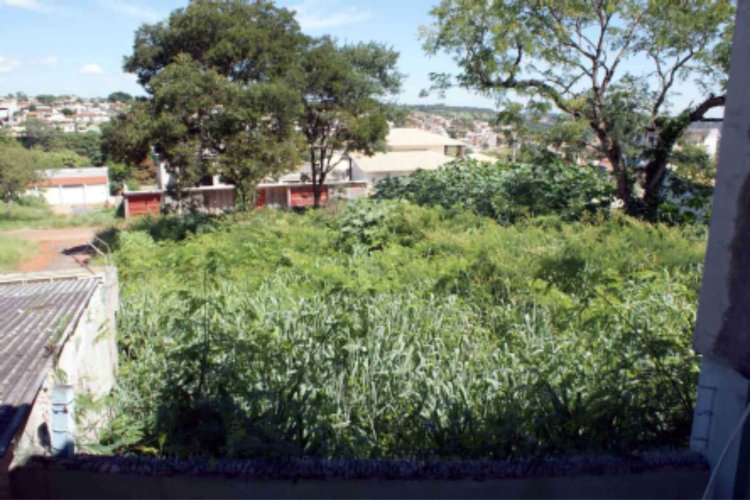 Cinco moradores vizinhos de lote sujo no centro da cidade tiveram sintomas da dengue