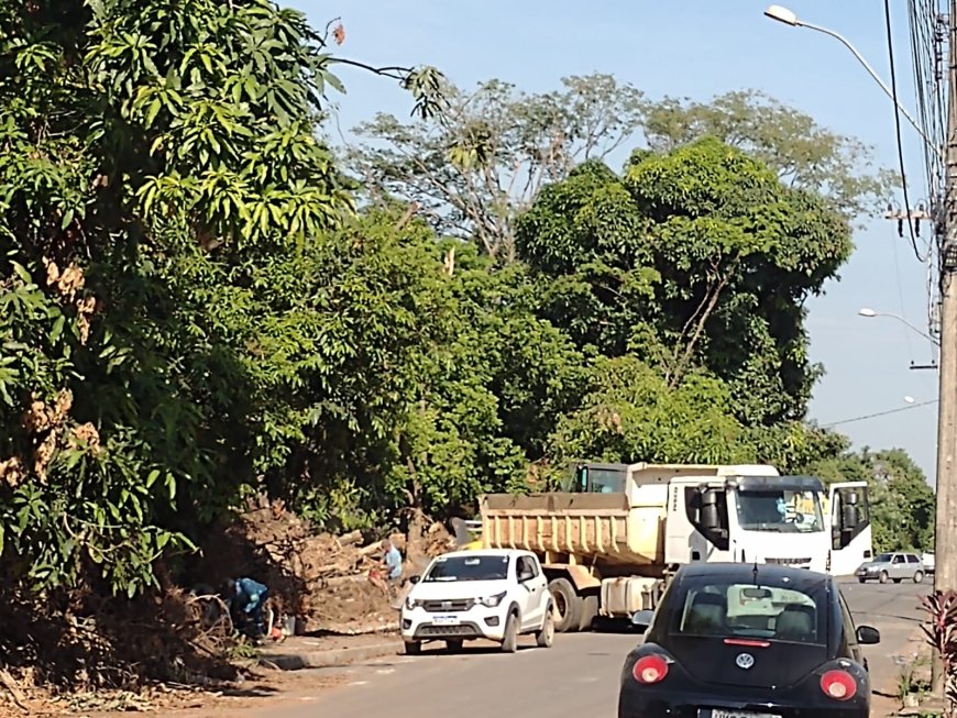 Arcos: 'Pista Caminhada' do ‘Bela Vista’ começa a ser limpa, depois de quase dois meses