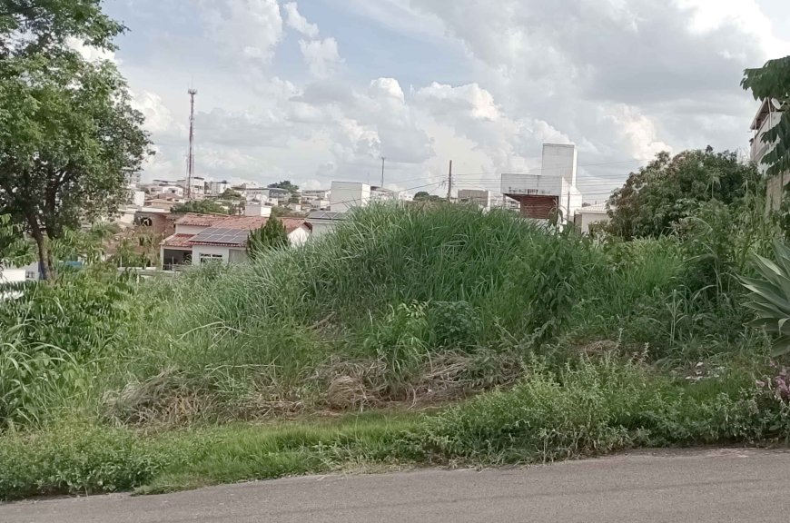 Terrenos sujos: Prefeitura de Arcos está autorizada a providenciar limpeza e cobrar do infrator