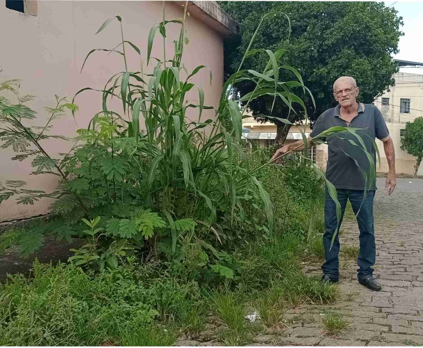 Morador do bairro Brasília em Arcos reclama da falta de capina em via pública