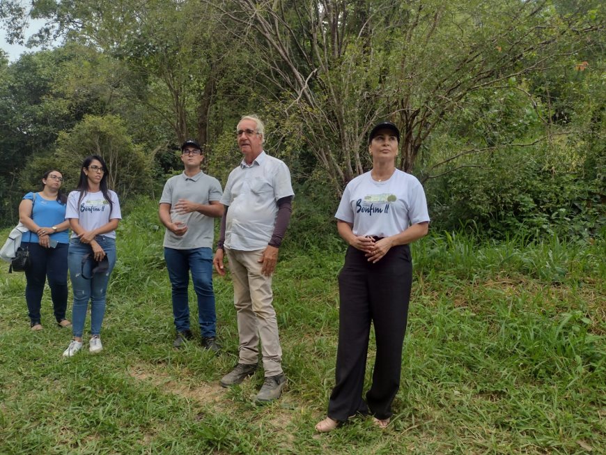 Bairro Bonfim 2 em Arcos: compensação supera o dobro de árvores cortadas