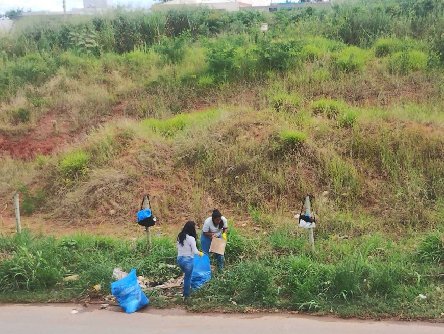 Arcos: focos do Aedes em terrenos vagos e áreas de construção civil