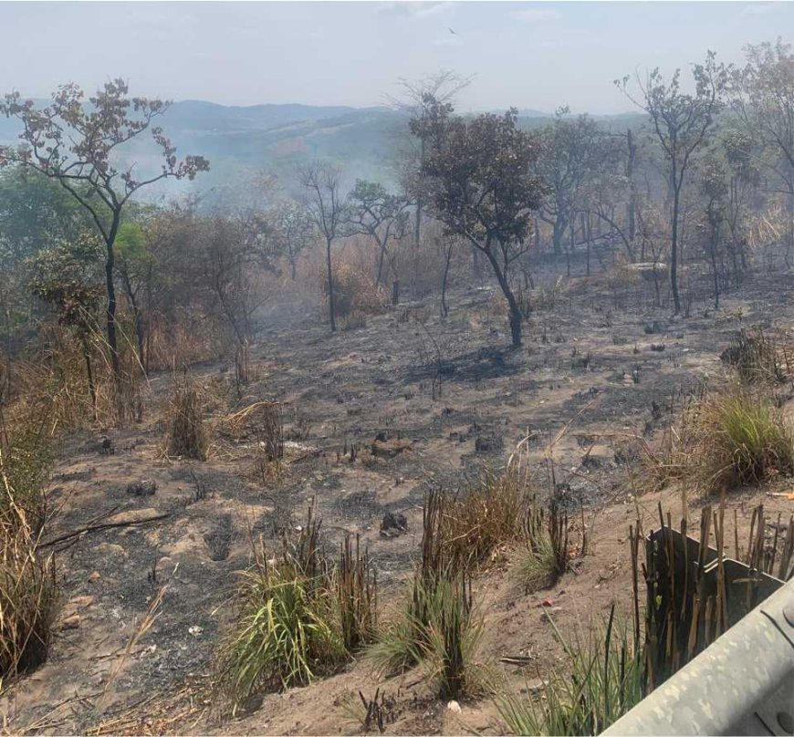 Incêndios em Arcos: Bombeiros combatem chamas em rodovia e pastagem